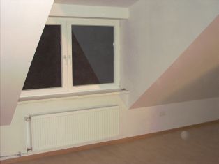 Südfenster - Wohnzimmer